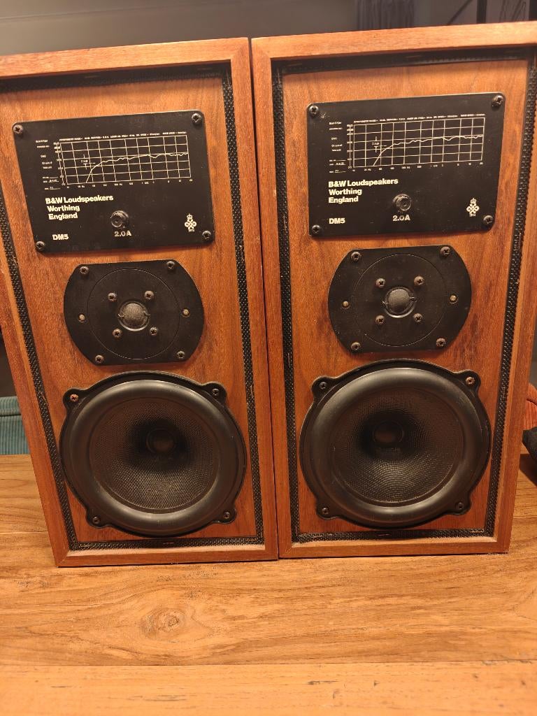 B&W Bower & Wilkins dm5, Audio, Tv en Foto, Luidsprekers, Ophalen, Gebruikt, Bowers & Wilkins (B&W), Minder dan 60 watt