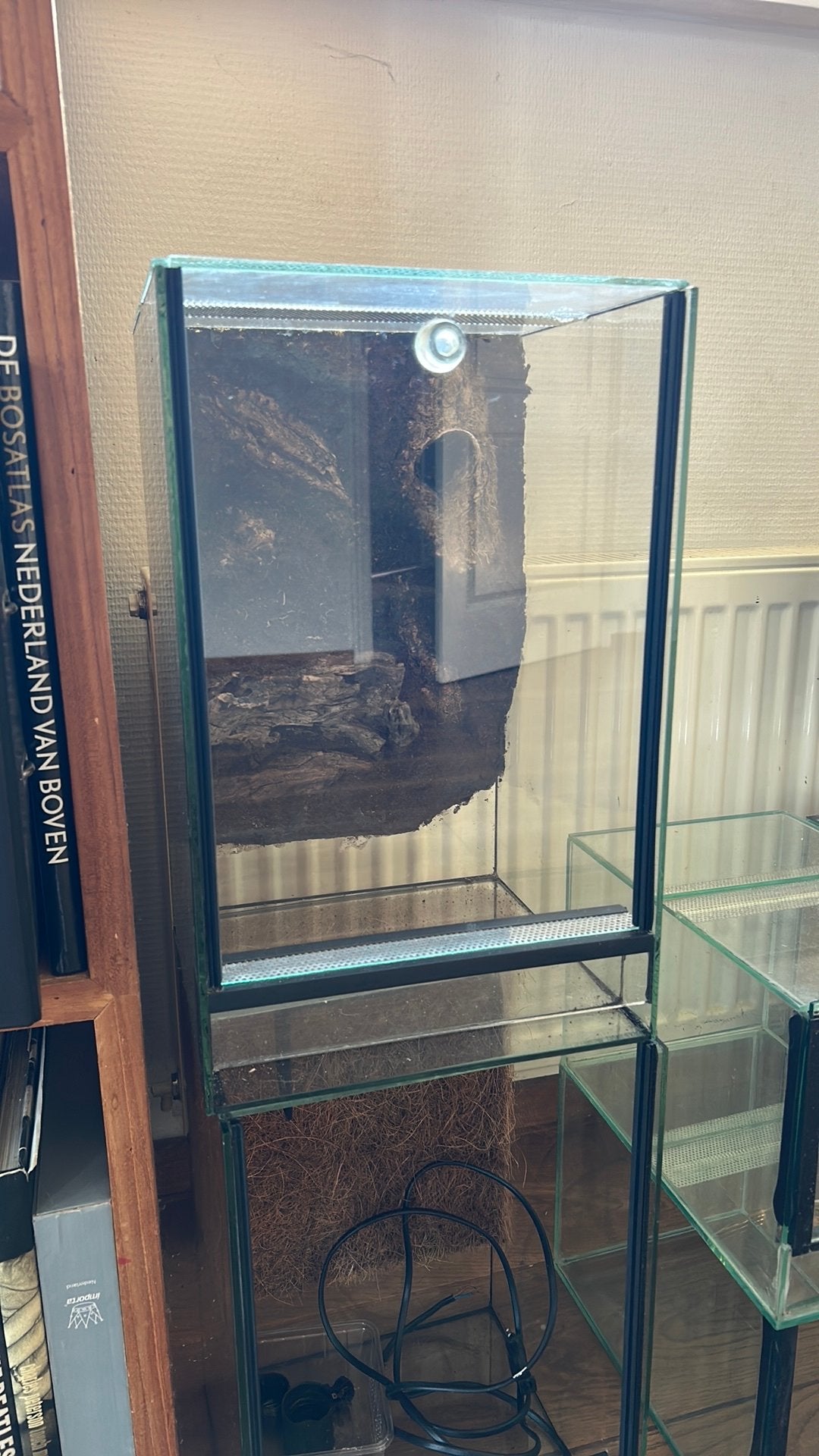 Terrarium inclusief achterwand 25x25x40, Ophalen, Zo goed als nieuw, Terrarium of Paludarium