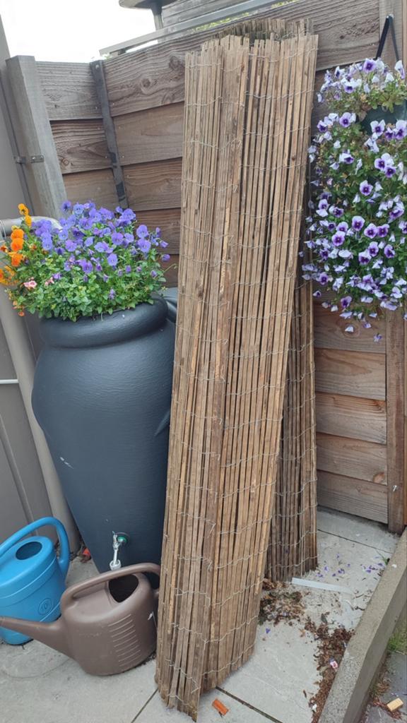 Bamboe schermen 6 meter (2x3 meter), Tuin en Terras, Tuinschermen, Ophalen of Verzenden, 200 cm of meer