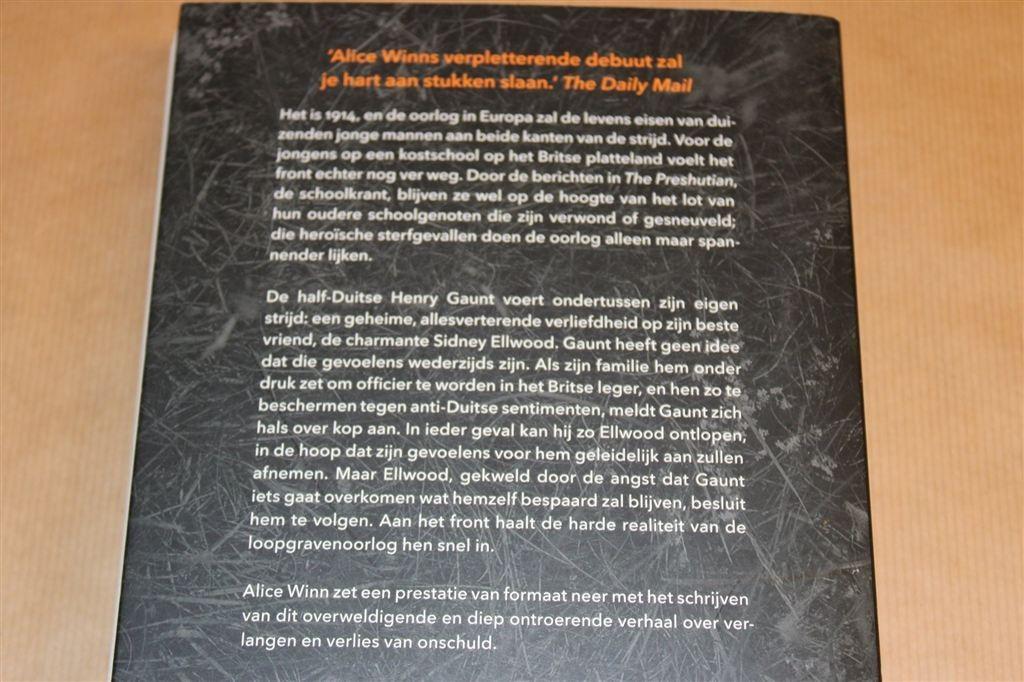 Door het Grote Vuur — Alice Winn — LGBT Roman WO I, Ophalen of Verzenden, Gelezen