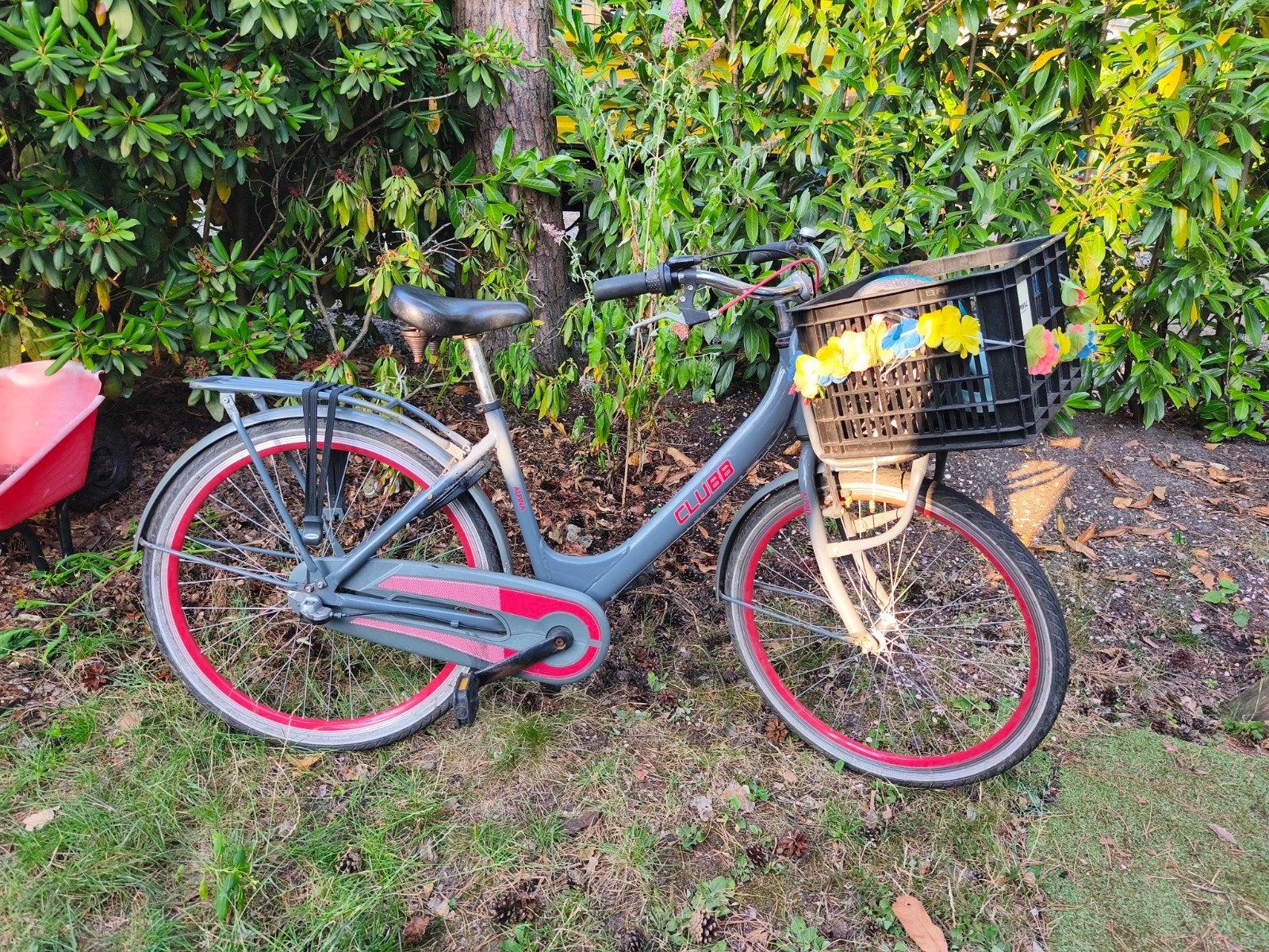 Alpina Club fiets met voordrager en versnellingen, Fietsen en Brommers, Fietsen | Dames | Damesfietsen, Gebruikt, Versnellingen