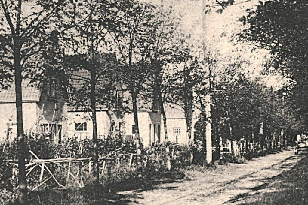 948099 Oostvoorne aan Zee ZH 1931 Boschweg Gelopen met zegel, Ophalen of Verzenden, 1920 tot 1940, Gelopen, Zuid-Holland