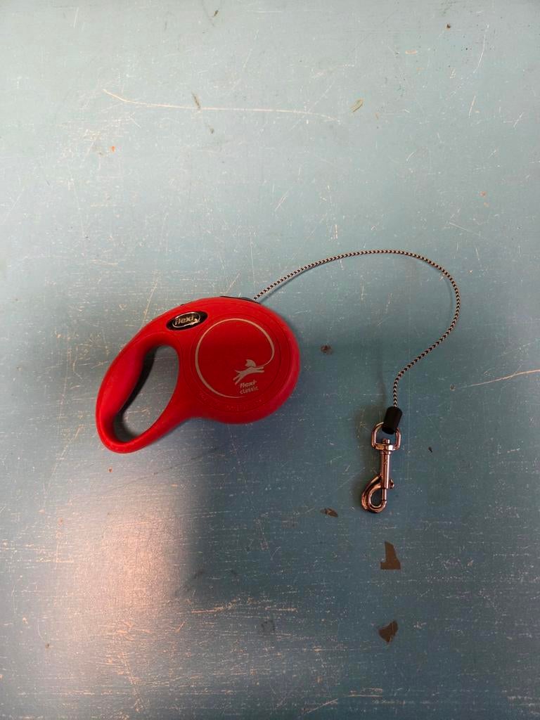 flexi riem xs 3 meter, Ophalen of Verzenden, Zo goed als nieuw, Hondenriem