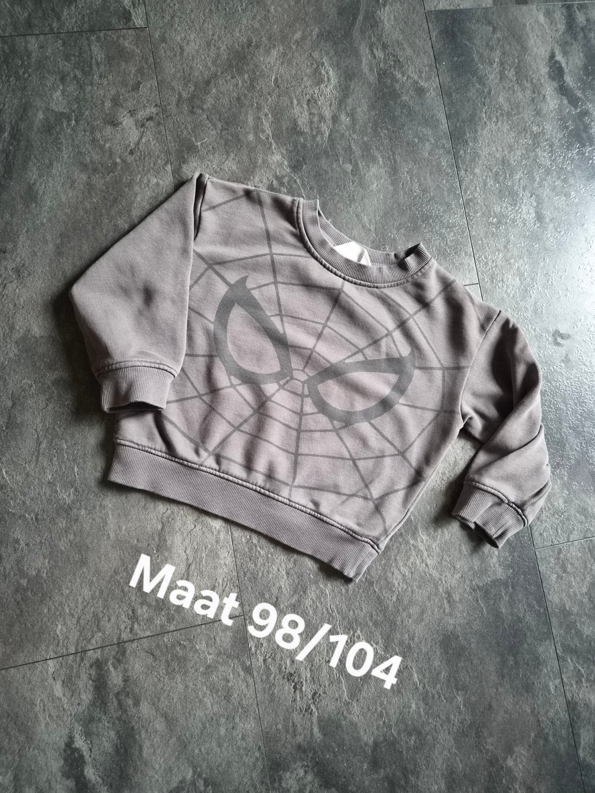 Sweater maat 98 / 104, Kinderen en Baby's, Kinderkleding | Maat 98, Ophalen of Verzenden, Jongen, Trui of Vest