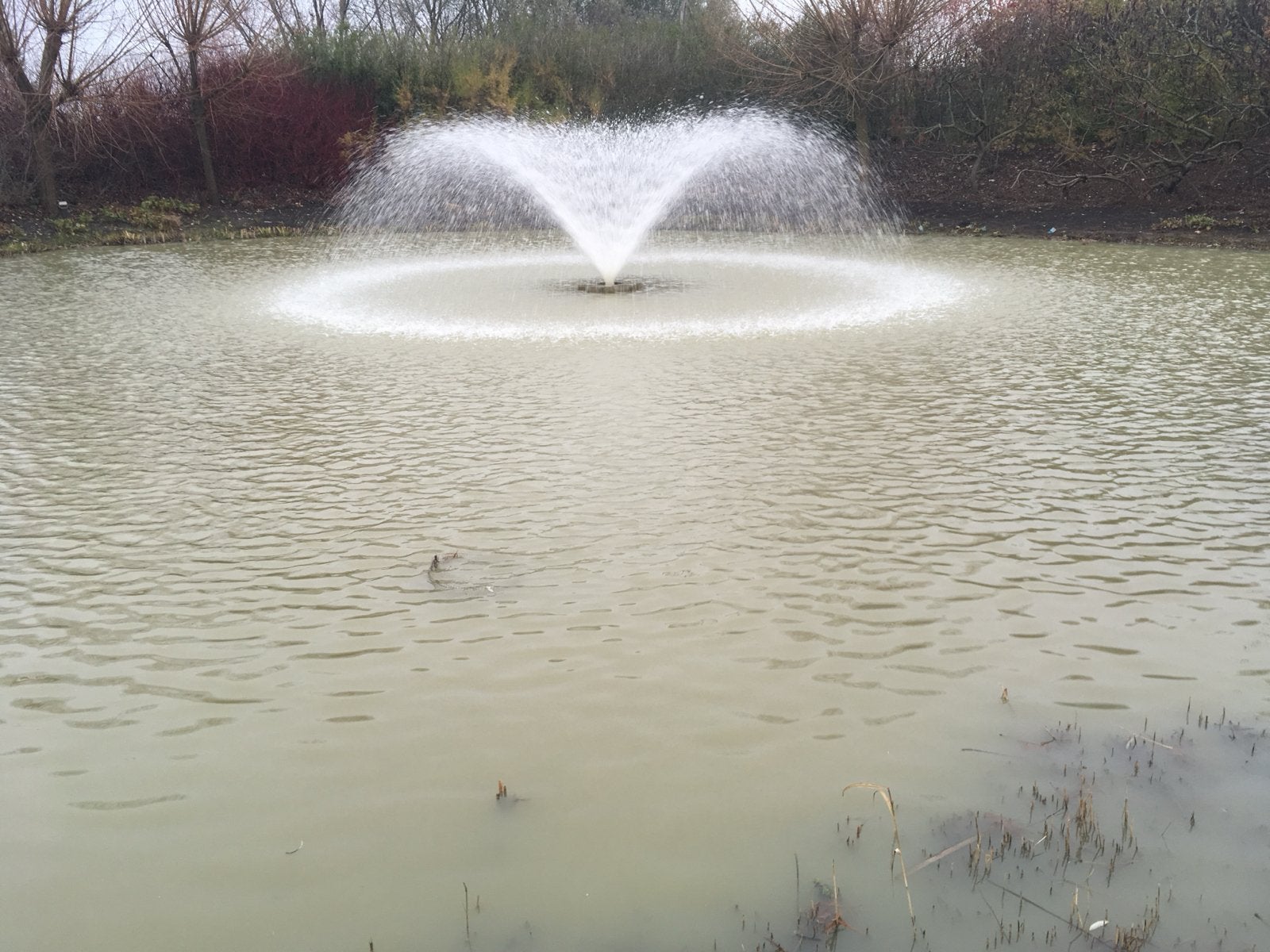 Fontein beluchter 220V/380V voor vijver of waterpartij, Ophalen of Verzenden, Gebruikt, Overige materialen, Fontein