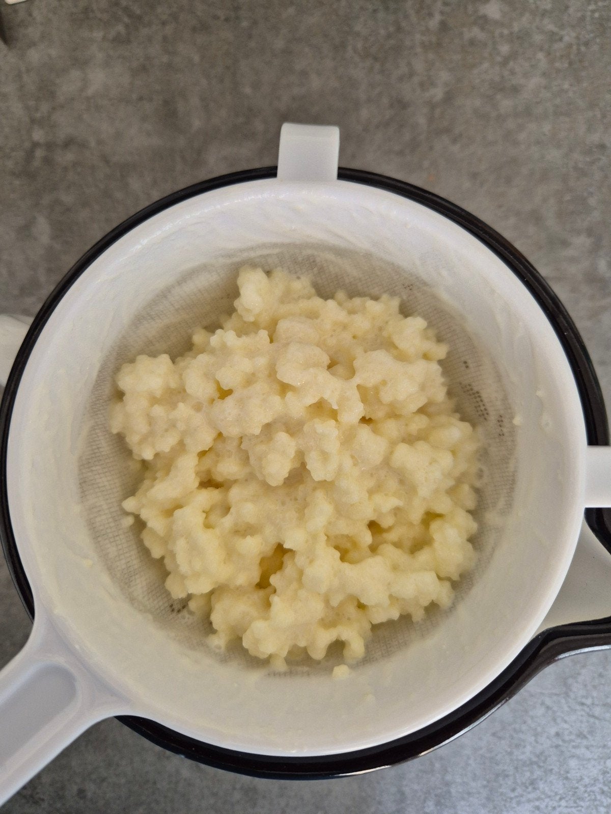 Kefirkorrels voor zelfgemaakte melkkefir, Ophalen