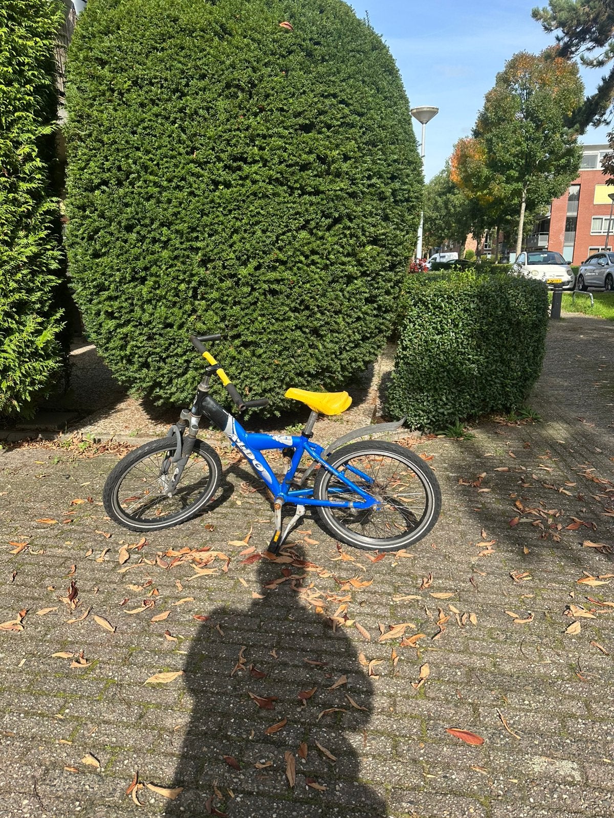 Foto 9 van Aldo kinderfiets 20 inch, blauw, met voorvering