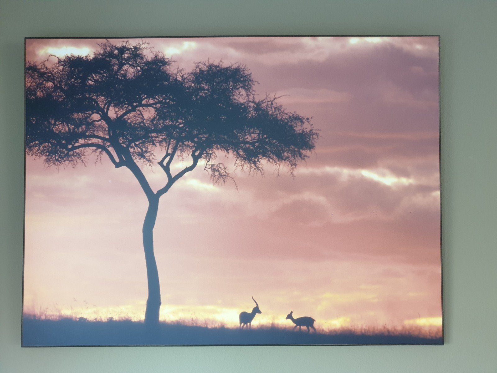 Woodprint schilderij Afrikaanse Savanna (80 bij 60 cm), Huis en Inrichting, Woonaccessoires | Schilderijen, Tekeningen en Foto's