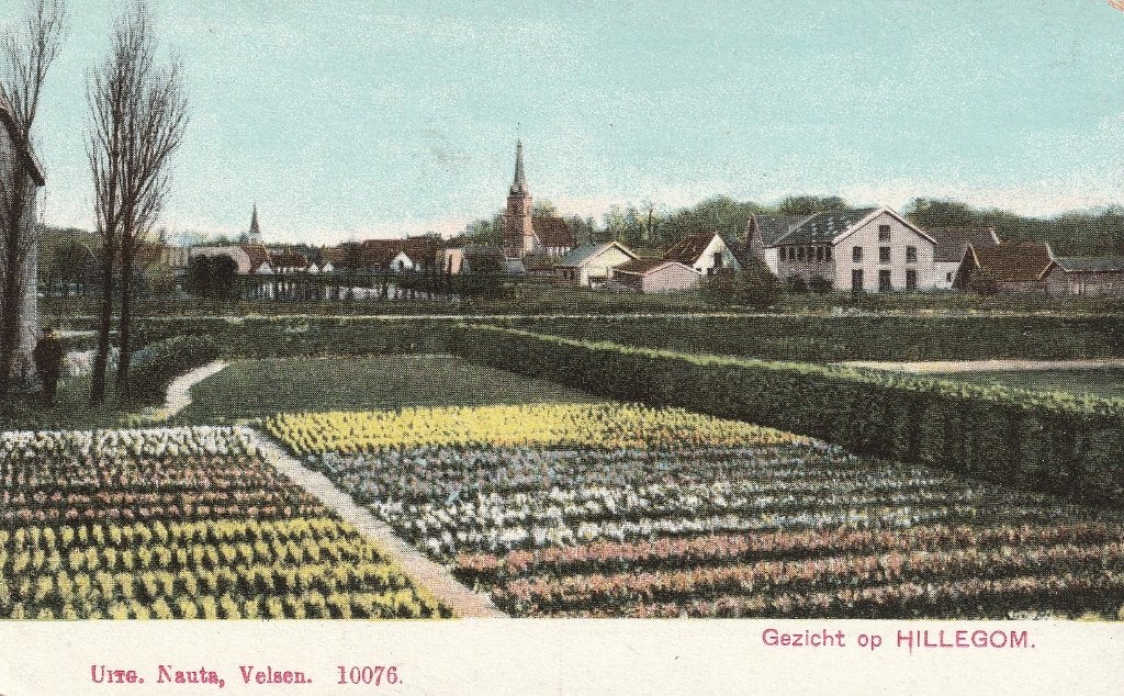 Hillegom Prachtige Oude Ongelopen Kaart, Ophalen of Verzenden, Voor 1920, Ongelopen, Zuid-Holland
