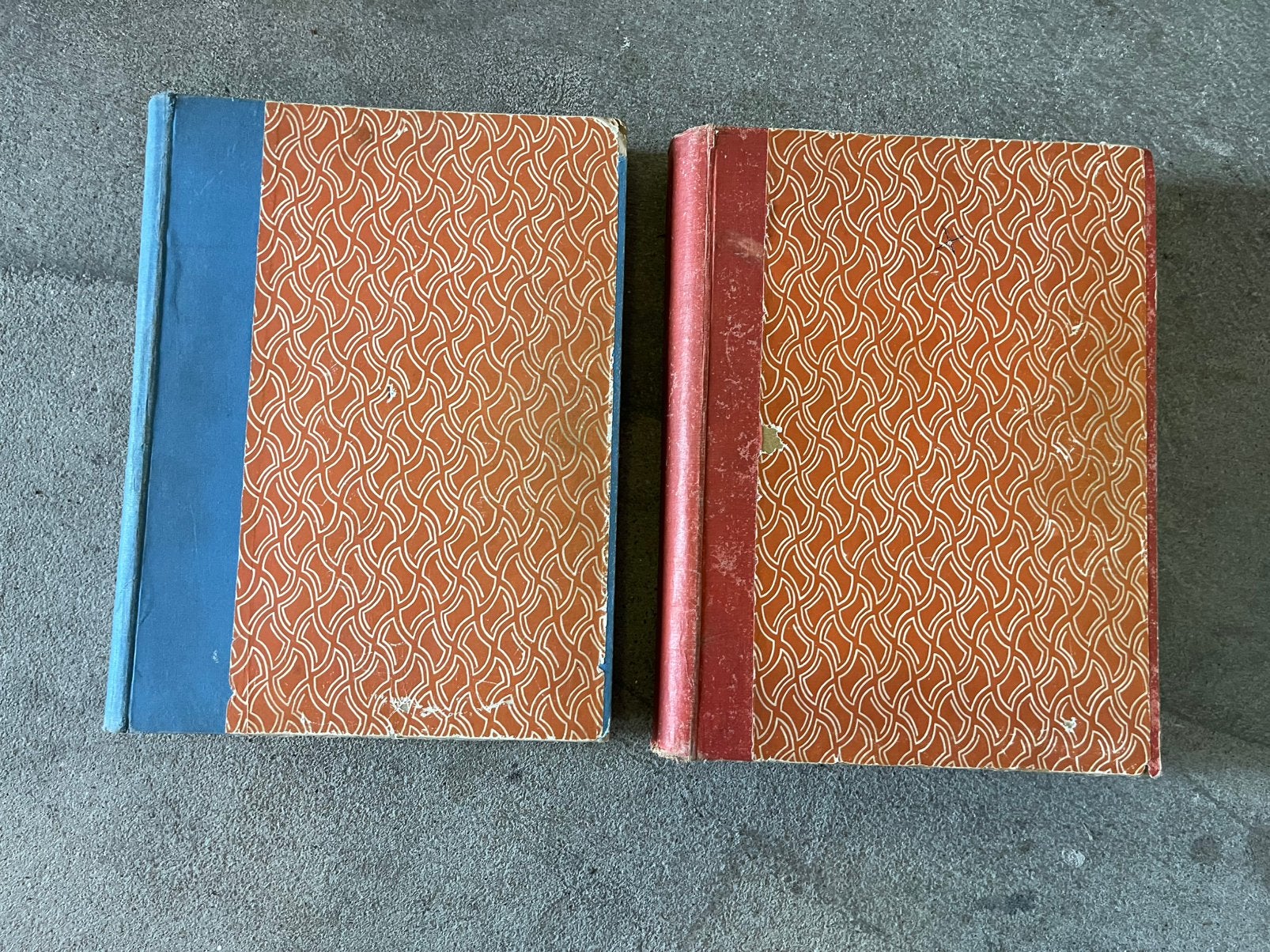Oude panorama’s, Boeken, Ophalen of Verzenden, Gelezen