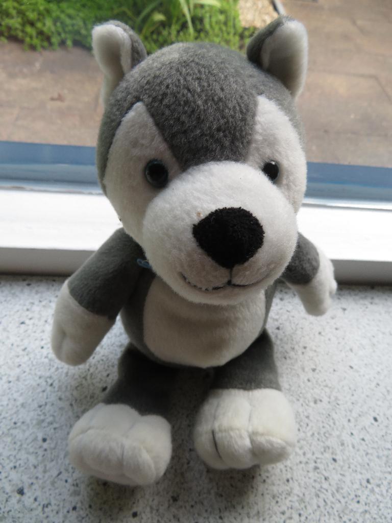 Wolf of hond Husky Huskie merk Ferrero KINDER chocolade, Zo goed als nieuw, Wasbaar, Middelgroot (20 tot 80 cm), Hond