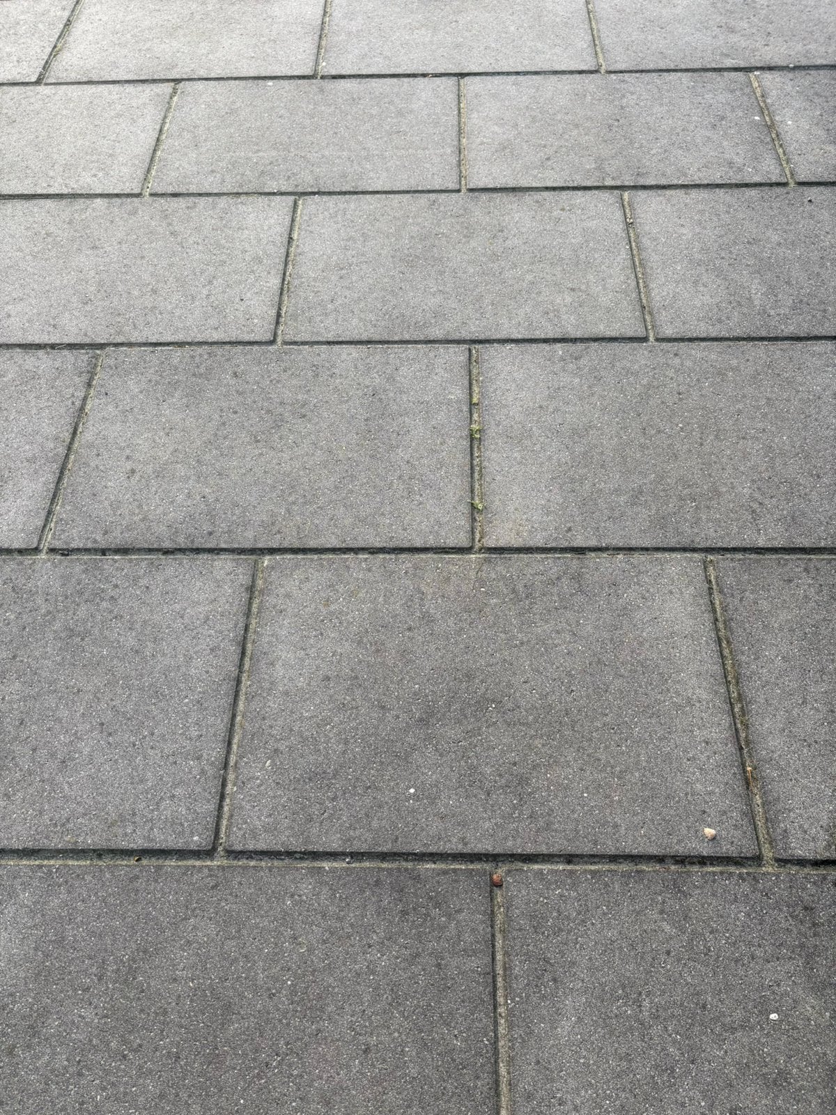 Stoeptegels 40x60, Doe-het-zelf en Verbouw, Ophalen, Zo goed als nieuw, 10 m² of meer, 20 tot 40 cm