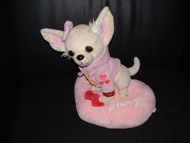 DII BELGIE HOND CHIHUAHUA OP KUSSEN VELOURS ECRU MET, Ophalen of Verzenden, Nieuw, Overige typen