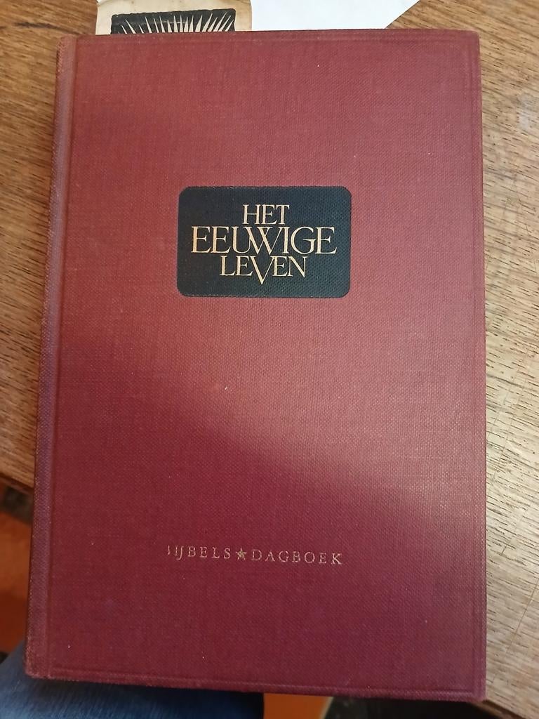 Het Eeuwige Leven., Antiek en Kunst, Antiek | Boeken en Bijbels, Ophalen of Verzenden
