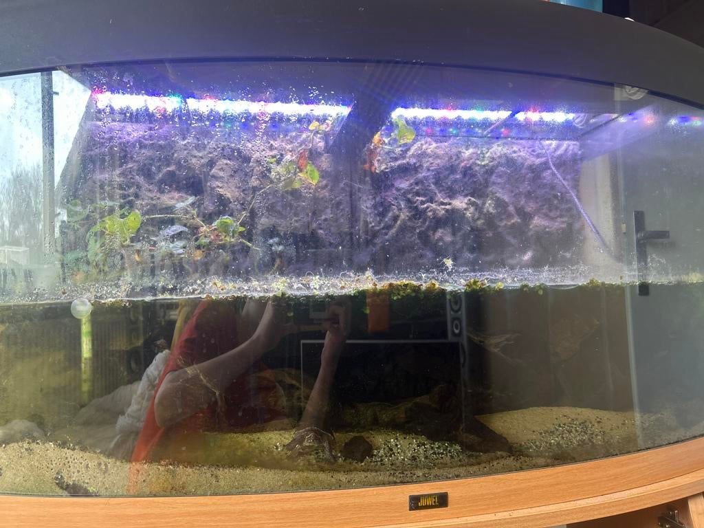 Schildpadden met aquarium, Ophalen of Verzenden, Gevuld zoetwateraquarium