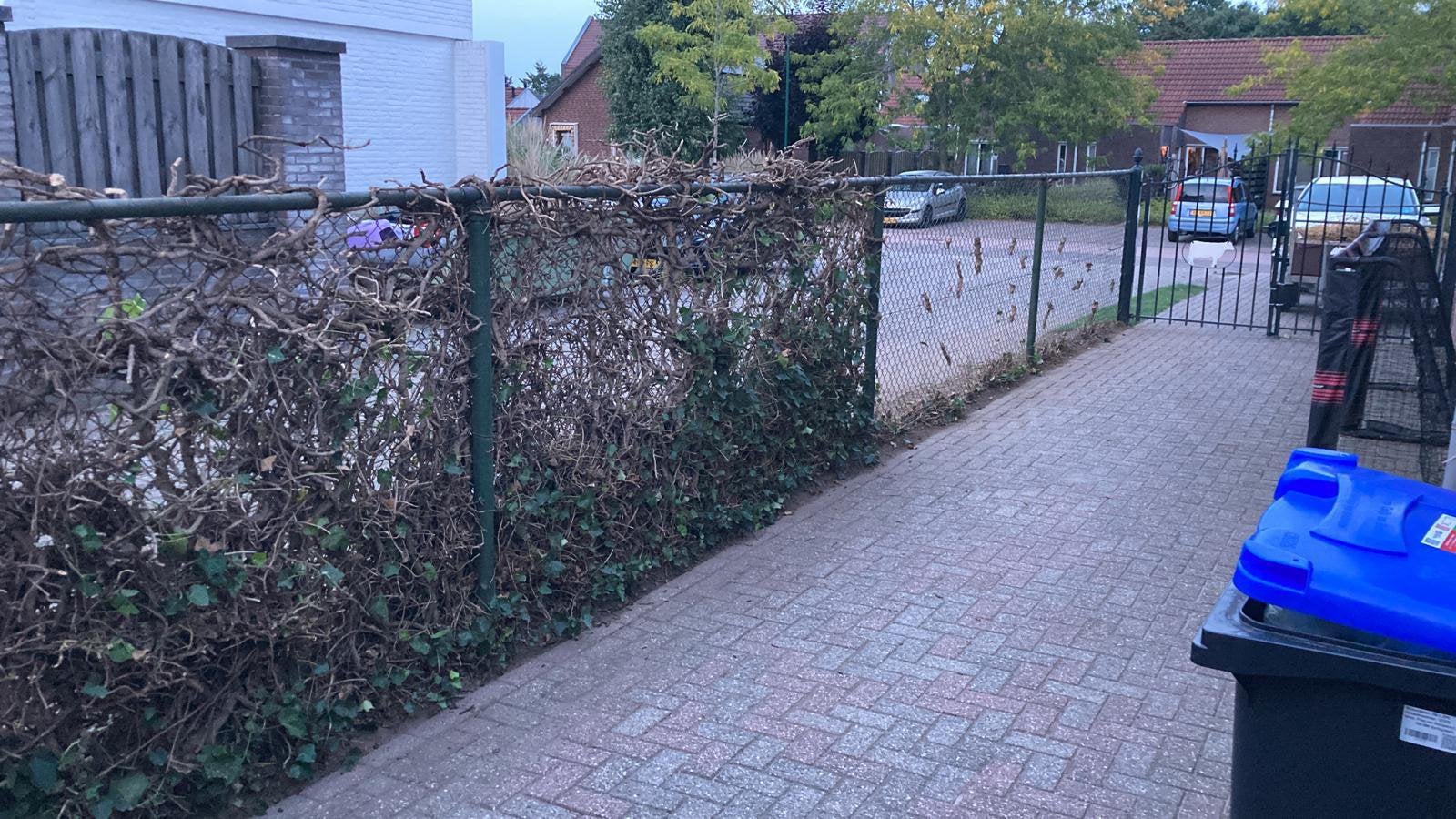 Foto 2 van Ijzeren poort en hekwerk