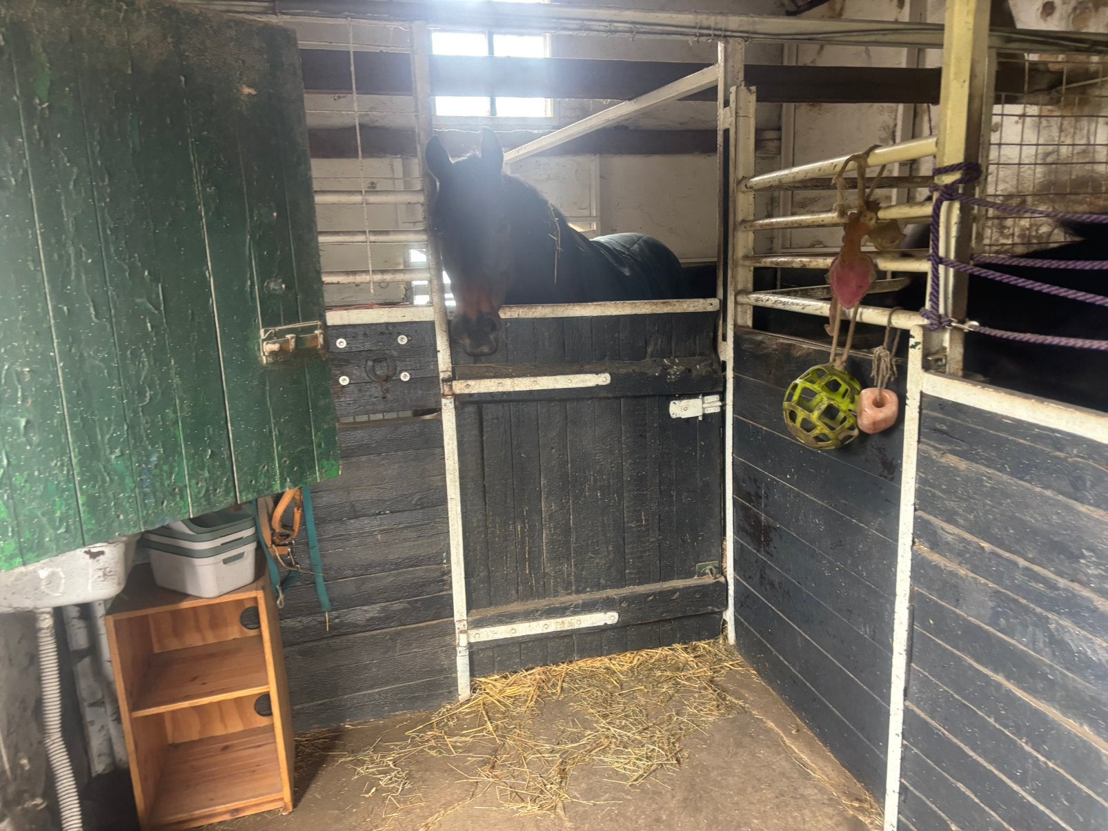 Stal te huur, Dieren en Toebehoren, Stalling en Weidegang