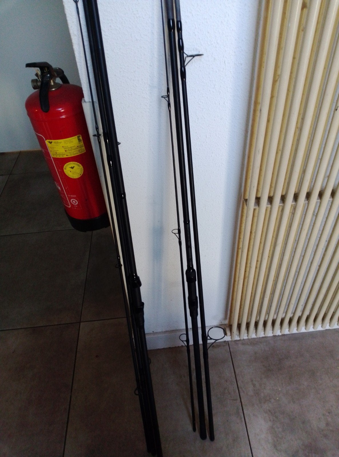Set van 2 Karperhengels 12ft 3lbs Driedelig, Ophalen, Nieuw, Werphengel