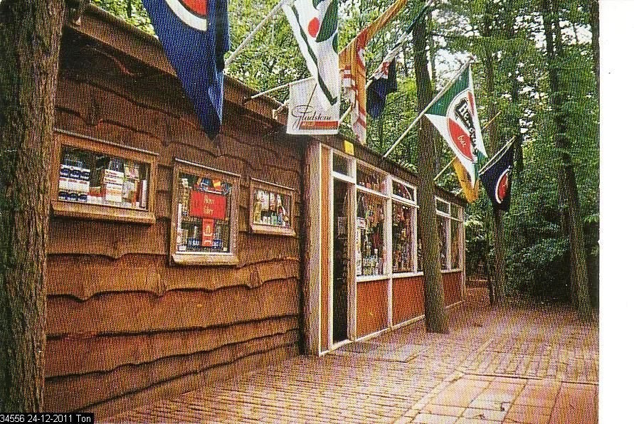 Ansichtkaart 	Bosschenhoofd	De Wildert	Camping, Verzenden, 1960 tot 1980, Gelopen, Noord-Brabant