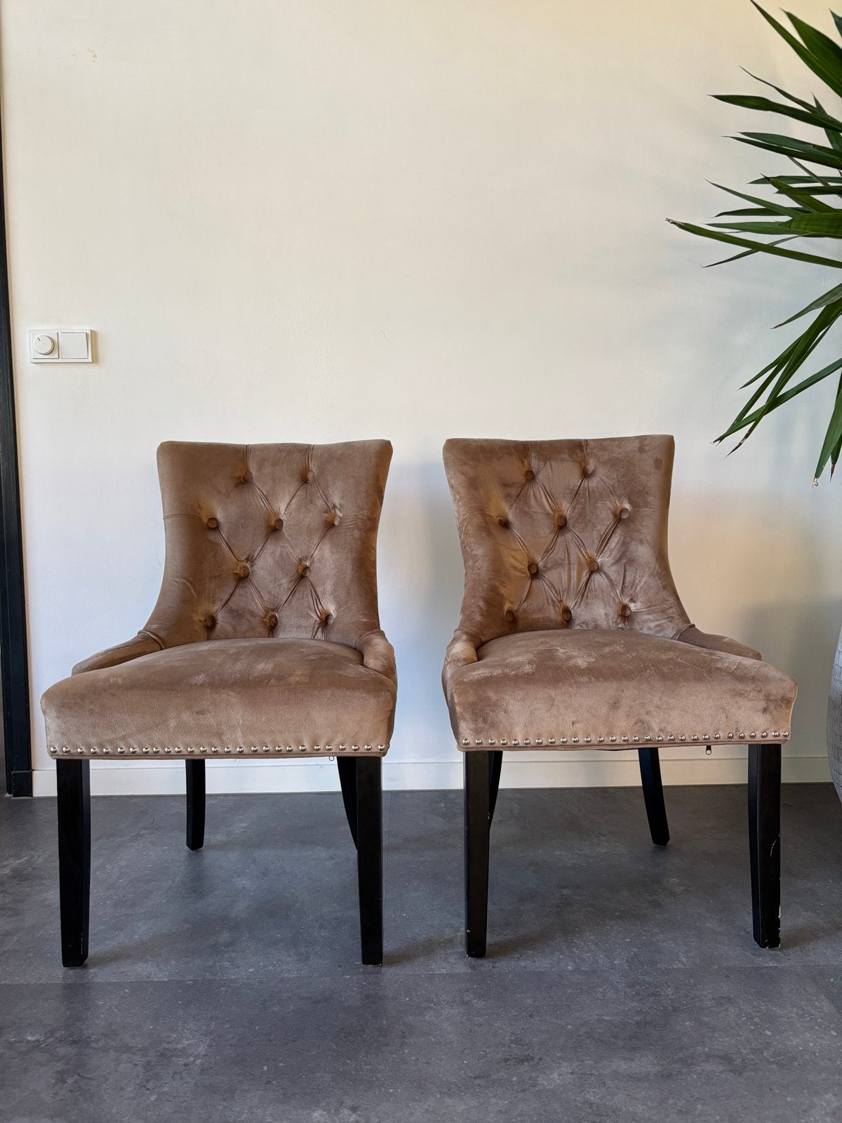 Set van 2 luxe fluwelen eetkamerstoelen - Taupe, Ophalen, Gebruikt, Twee, Overige kleuren