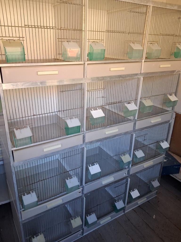 Broedkooi gehu, Dieren en Toebehoren, Vogels | Hokken en Kooien, Ophalen, Zo goed als nieuw, Hout, Broedkooi of Kweekkooi
