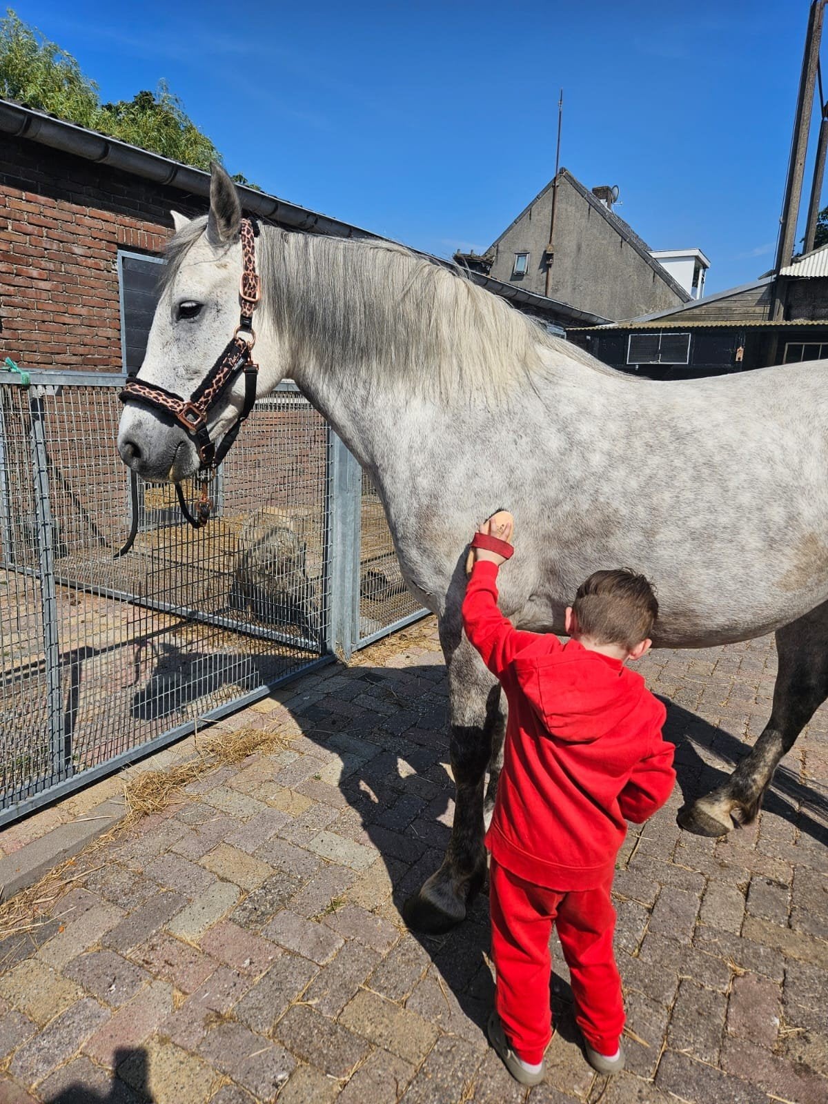 Gezocht: verkoopbare spullen voor goed doel, Ophalen of Verzenden
