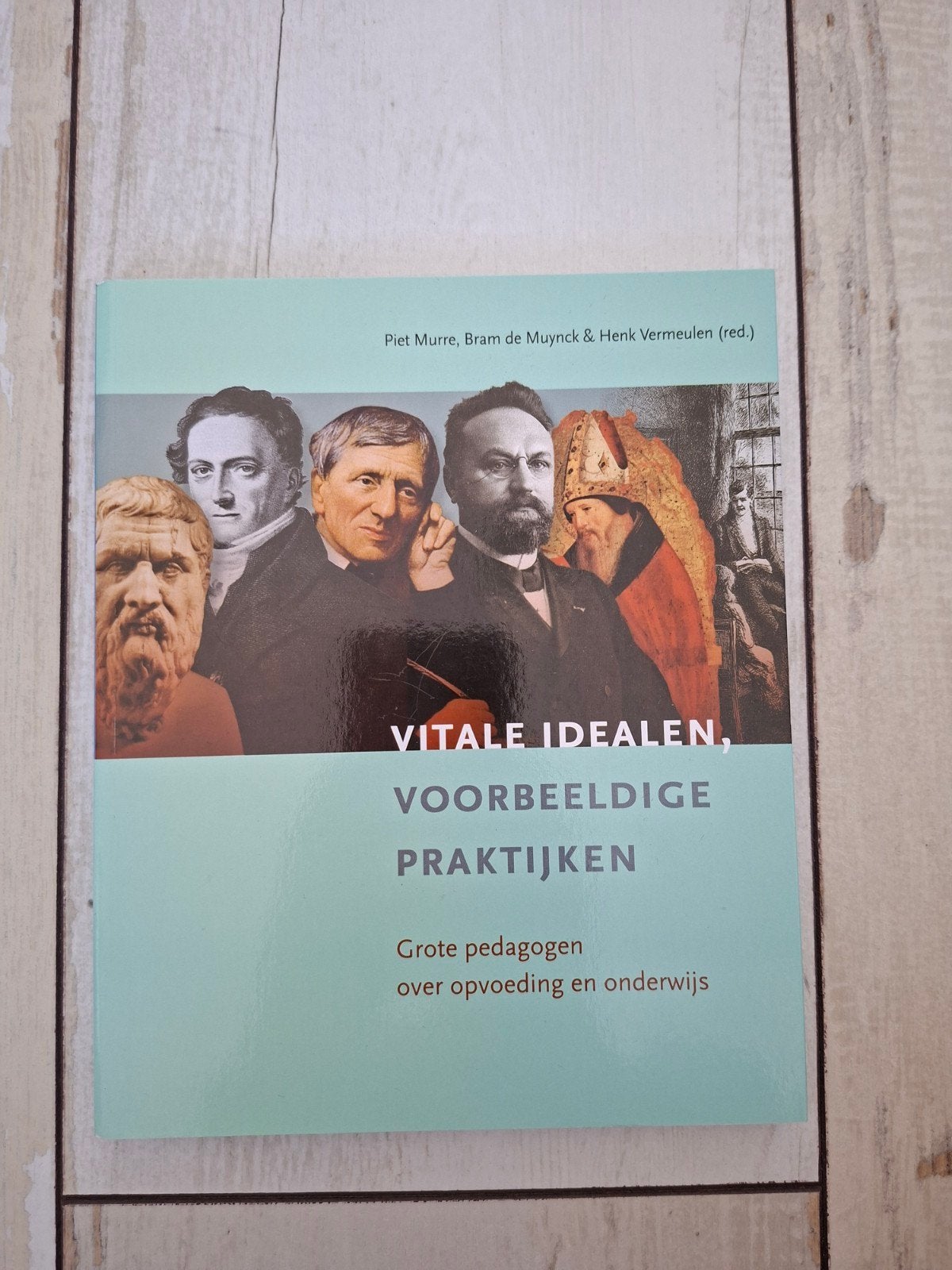 Vitale idealen, voorbeeldige praktijken, Boeken, Ophalen of Verzenden, Zo goed als nieuw, Sociale wetenschap
