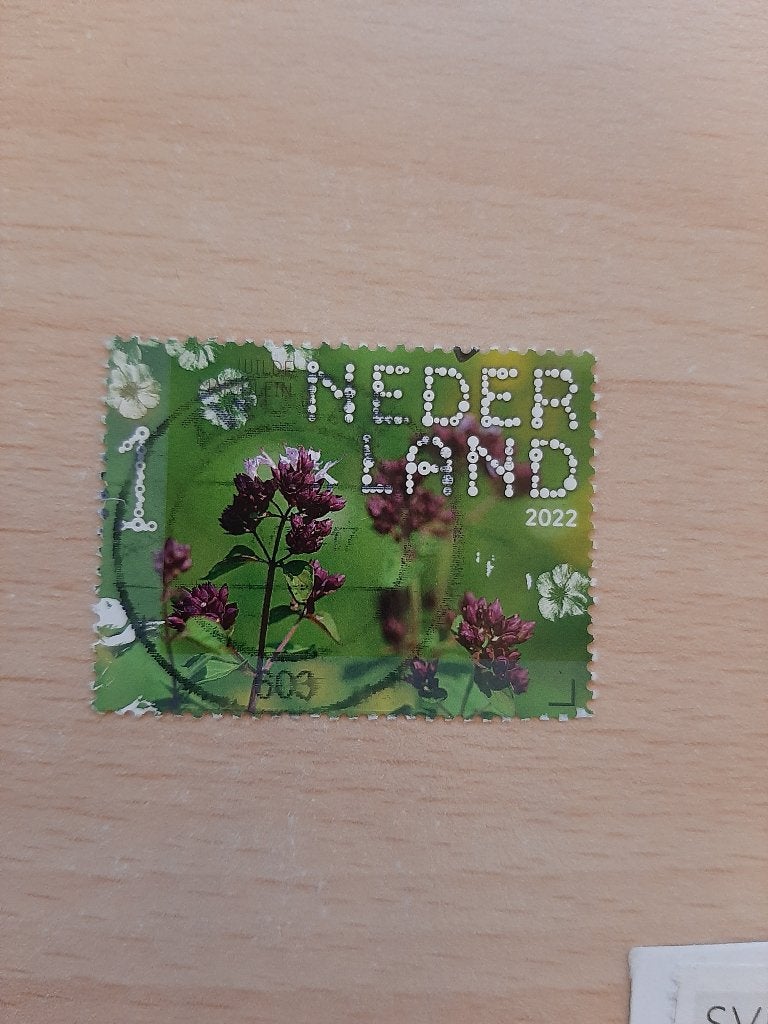2022 beleef de natuur bloemen wilde marjolein, Postzegels en Munten, Verzenden, Gestempeld