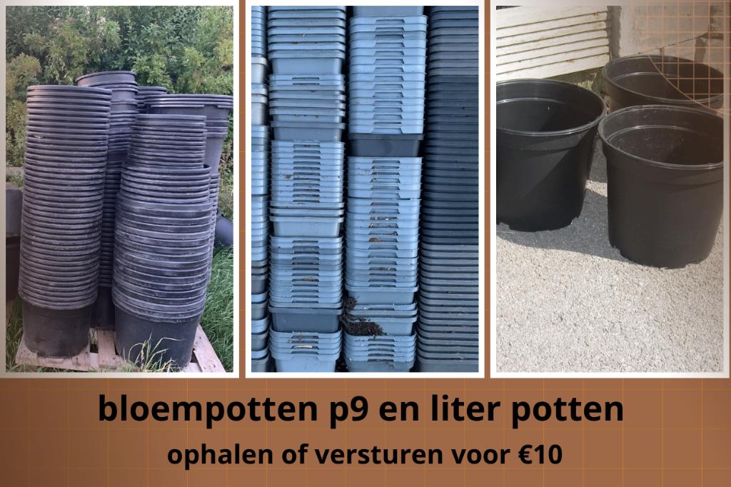 Goedkope Bloem/kweek potten erg veel p9 en liter pot, Ophalen of Verzenden, Vaste plant, Overige soorten, Volle zon