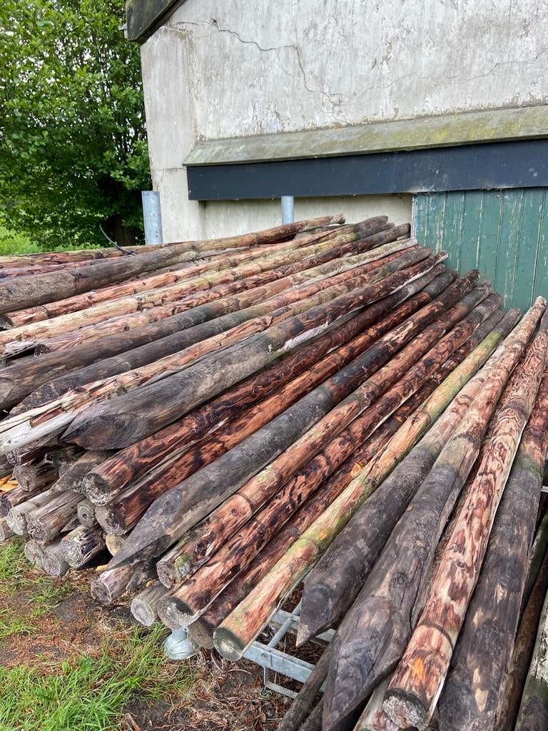 Boompalen 7x250cm, Tuin en Terras, Palen, Balken en Planken, Ophalen, Zo goed als nieuw, 250 cm of meer, Palen