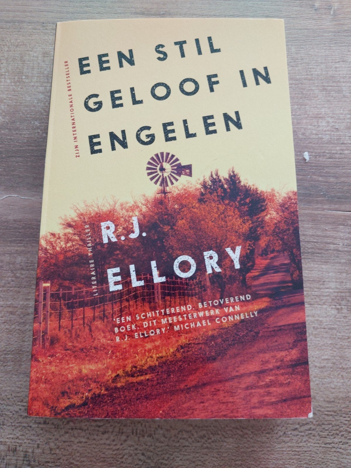 R.J. Ellory- Een stil geloof in Engelen, Ophalen of Verzenden, Zo goed als nieuw, R.J. Ellory, Nederland