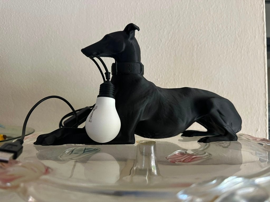 windhond whippet greyhound hond usb lamp, Ophalen of Verzenden