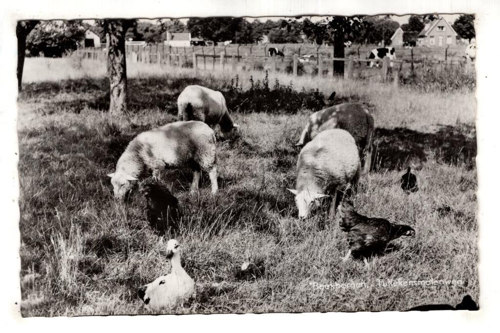 Beekbergen Tullekensmolenweg, Verzenden, 1940 tot 1960, Ongelopen, Gelderland