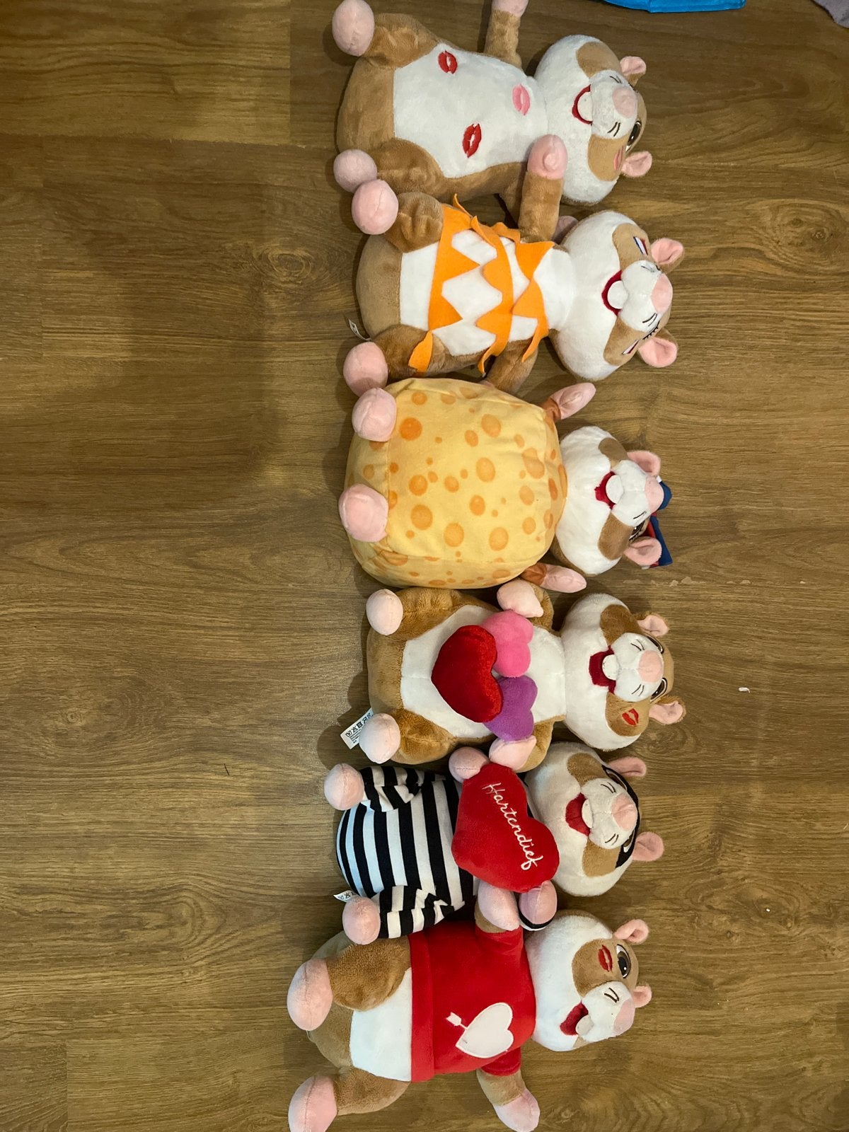 Diverse hamsters albert hein, Kinderen en Baby's, Speelgoed | Knuffels en Pluche, Overige merken, Overige karakters, Hamster, Ophalen of Verzenden
