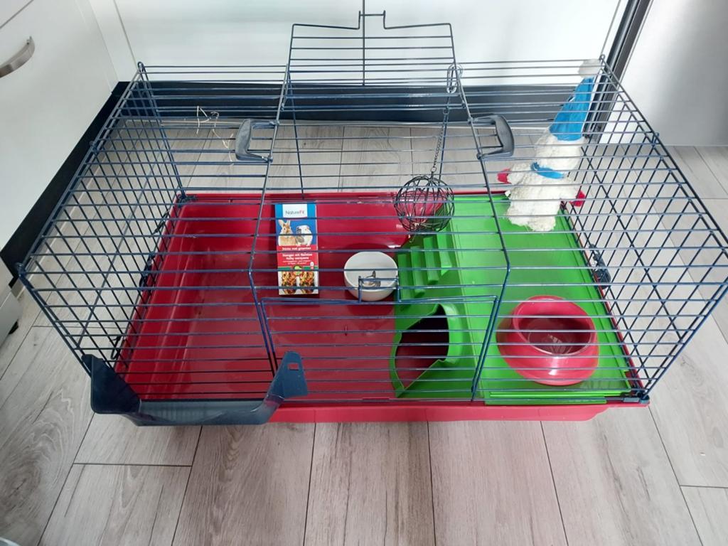 Knaagdieren kooi 80 breed en 50 diep., Kooi, Gebruikt, Minder dan 75 cm, Ophalen