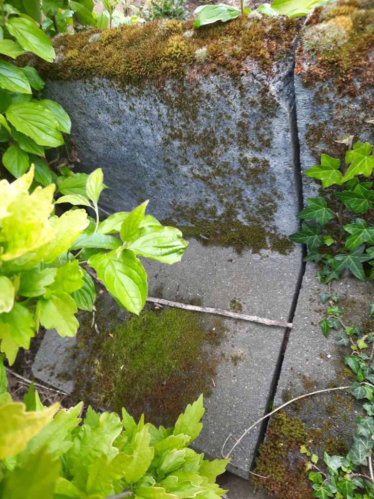 Gratis 4 beton hoek elementen, Tuin en Terras, Bielzen en Borders, Ophalen, Gebruikt, 25 tot 50 cm, Beton