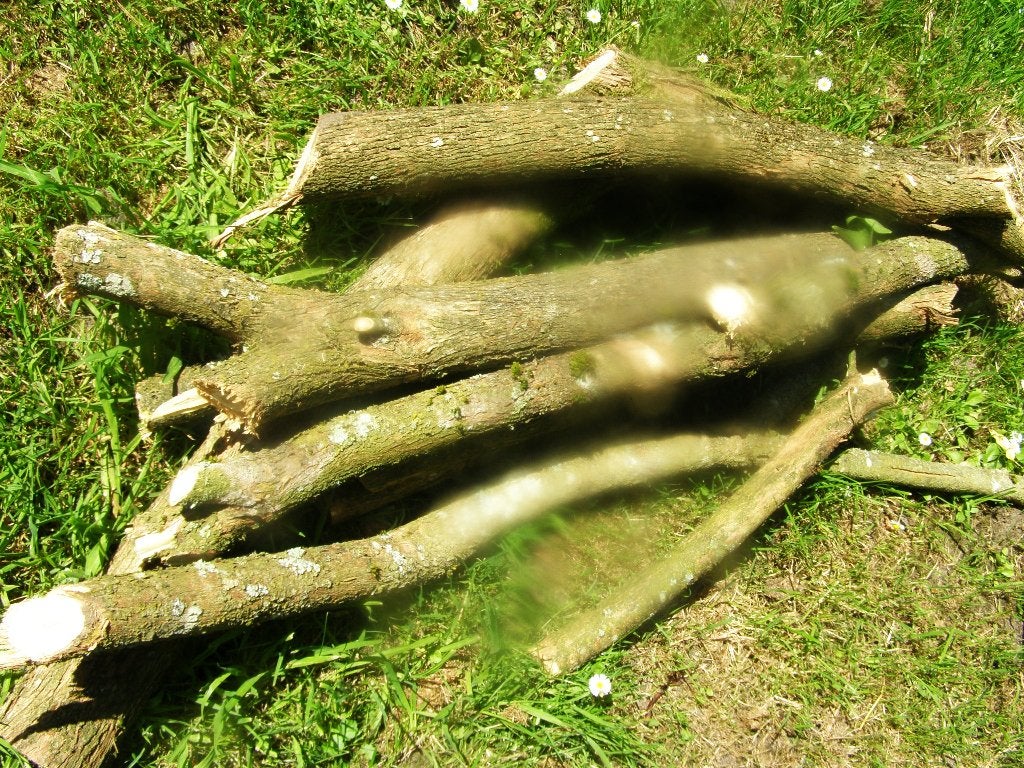 seringen hout houtbewerking houtdraaien draaihout, Ophalen, Nieuw