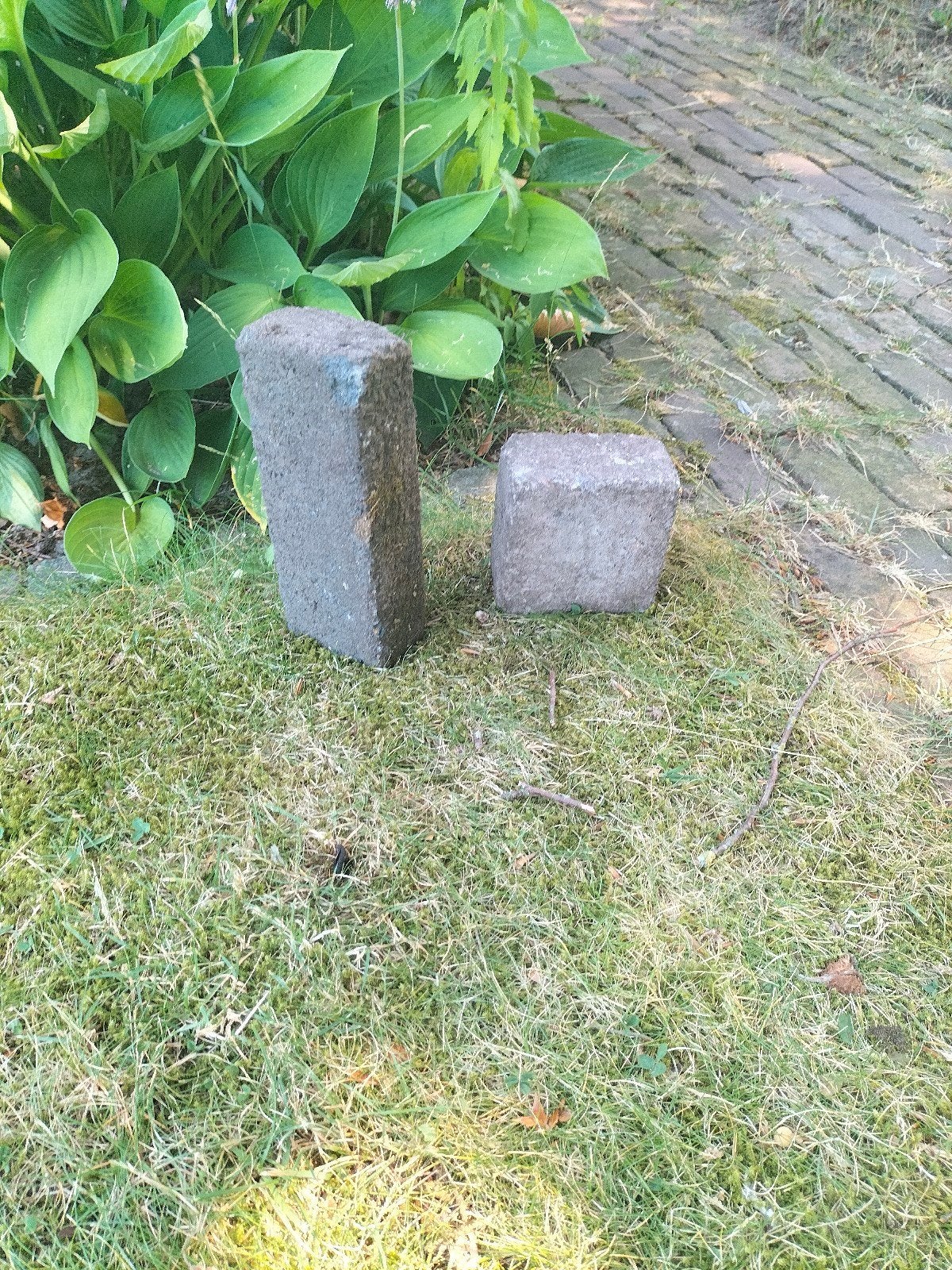sierstenen voor tuin / terras, Ophalen, Beton, Overige typen