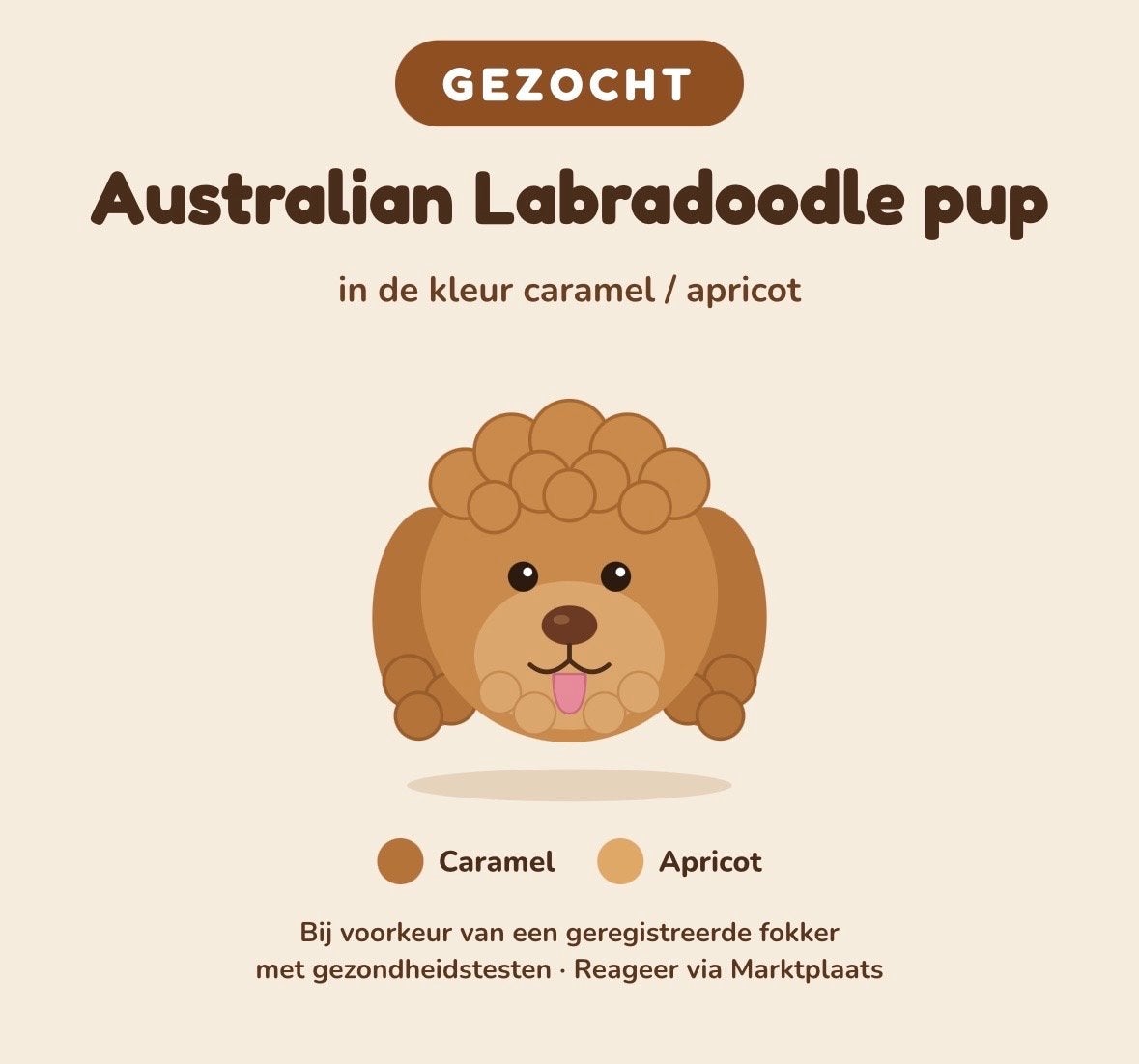 Gezocht: Australian Labradoodle pup – caramel/apricot, Ophalen of Verzenden