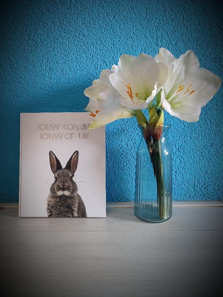 Jouw Konijn, Jouw Geluk - Boek over konijnenverzorging, Boeken, Ophalen, Nieuw, Konijnen of Knaagdieren, Vianne Scharloo