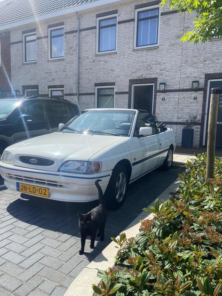 Ford Escort 1.6 I CLX 16V Cabrio E2 1994 schuurvondst, Escort, 4 cilinders, Cabriolet, Origineel Nederlands