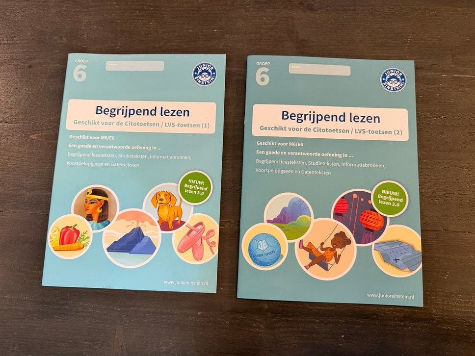 2 x begrijpend lezen oefenboek groep 6 Junior Einstein, Ophalen, Zo goed als nieuw, Overige niveaus, Nederlands
