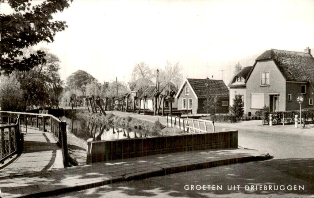 Driebruggen - Brug en huizen - Straatzicht, Ophalen of Verzenden, 1980 tot heden, Gelopen, Zuid-Holland