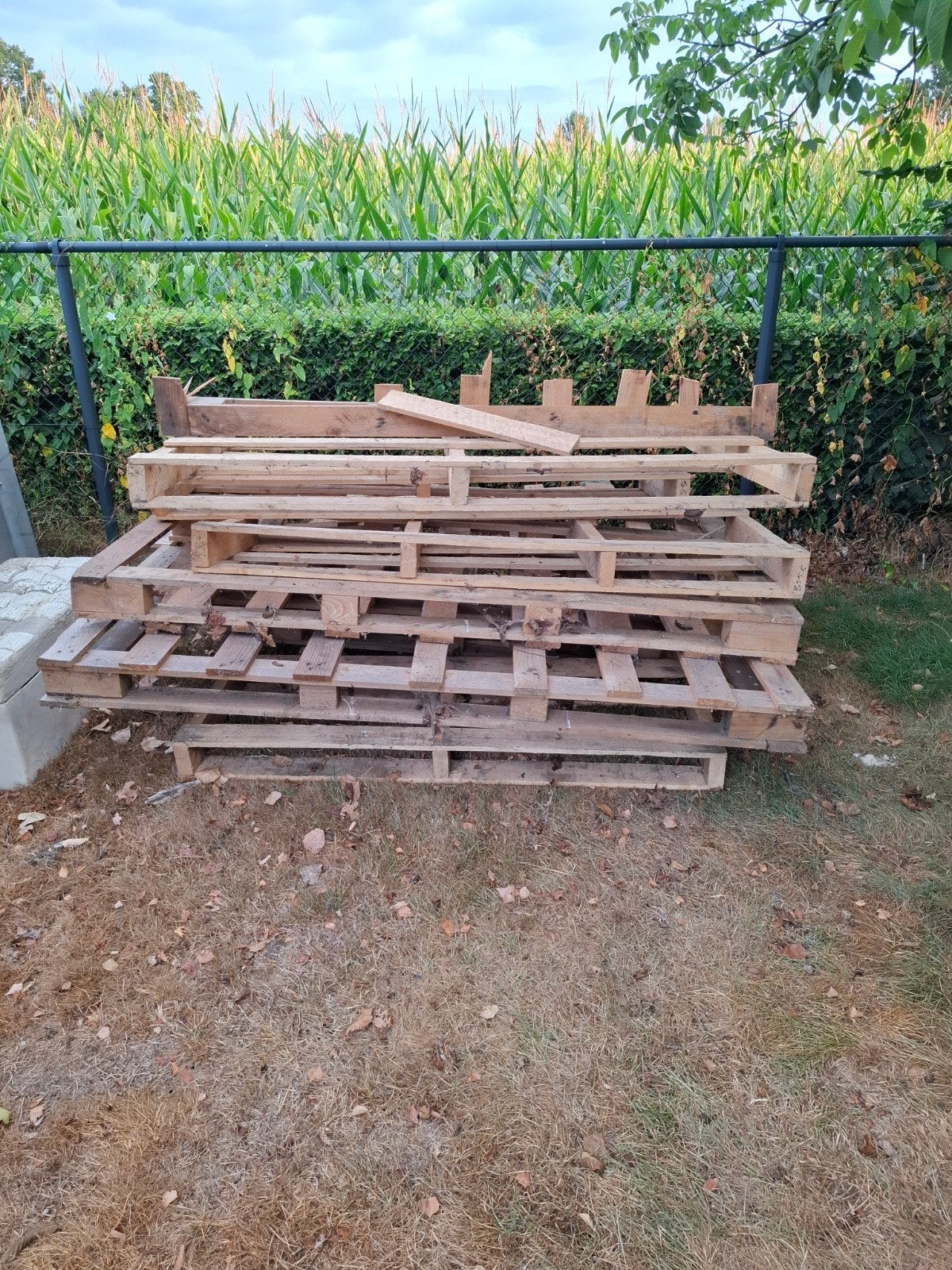 Gratis Pallets/Stookhout Ophalen, Doe-het-zelf en Verbouw, Hout en Planken, Ophalen, Gebruikt, Pallet