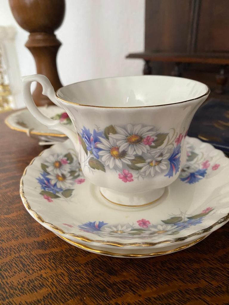 Royal Albert Bone China Kop & Schotel - Madeliefjes, Ophalen