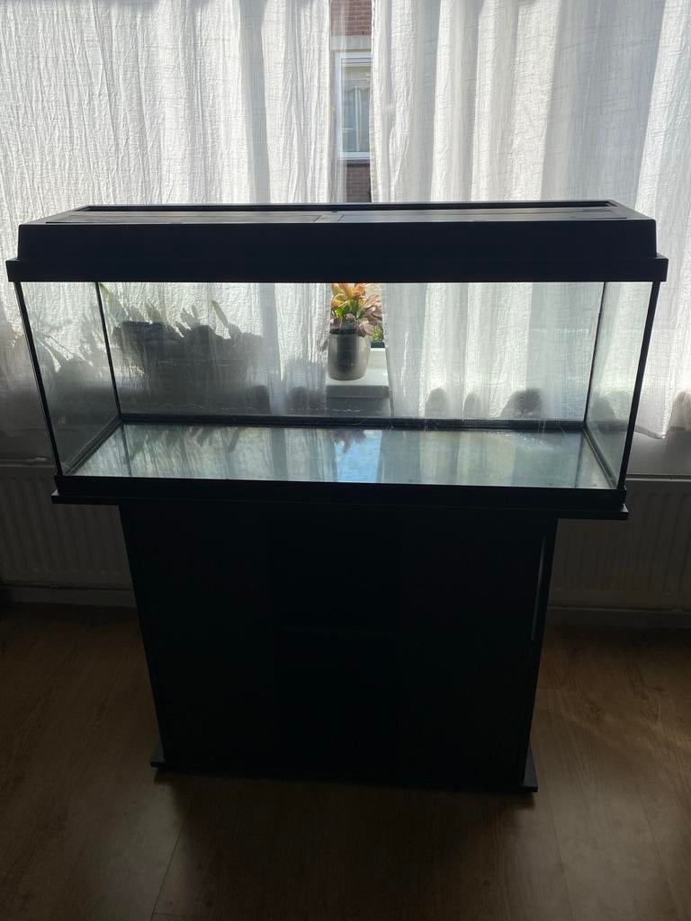 Aquarium met kast, Gebruikt, Ophalen of Verzenden, Juwel, Inclusief deksel