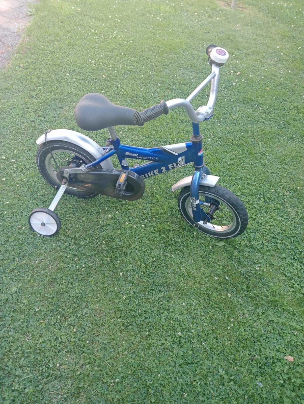 Bike 2Fly popal  12 inch, Ophalen of Verzenden, Gebruikt
