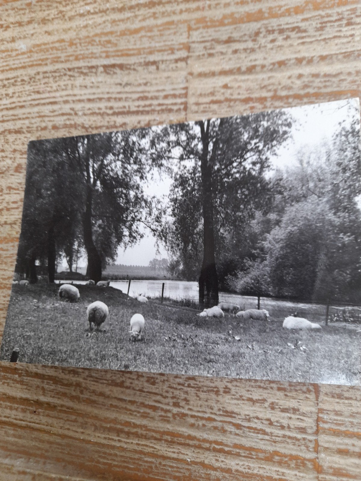 Zwart wit fotoansichtkaart Giessen 't Fort, Verzamelen, Ansichtkaarten | Nederland, Ophalen of Verzenden, 1980 tot heden, Gelopen