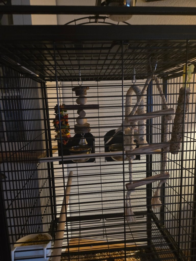 Prachtige en stevige in nieuwstaat staande vogelkooi, Ophalen, Zo goed als nieuw, Metaal, Vogelkooi