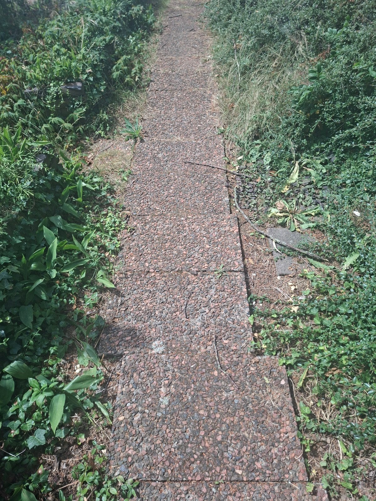 Gratis tegels, grindtegels en Betonklinkers, Tuin en Terras, Ophalen, Gebruikt, Beton, Terrastegels